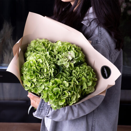 Букет из 5 гортензий "Меджикал" Green