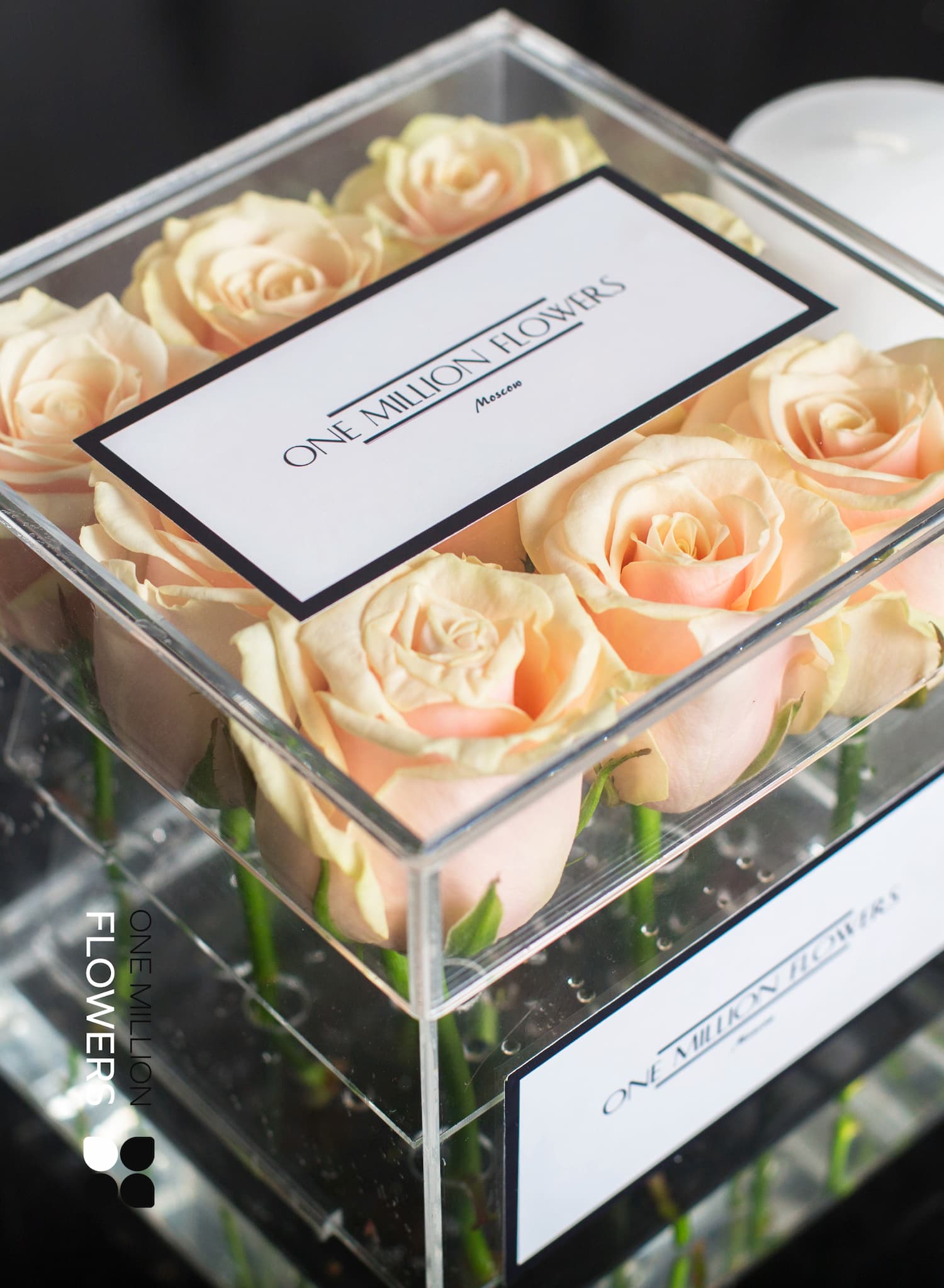 Бокс из 9 "Талеа"