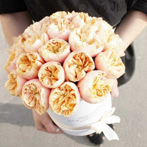 Коробка "Вувузела" White - Mini