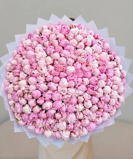 Букет из 151 розового пиона "Сара Бернар"